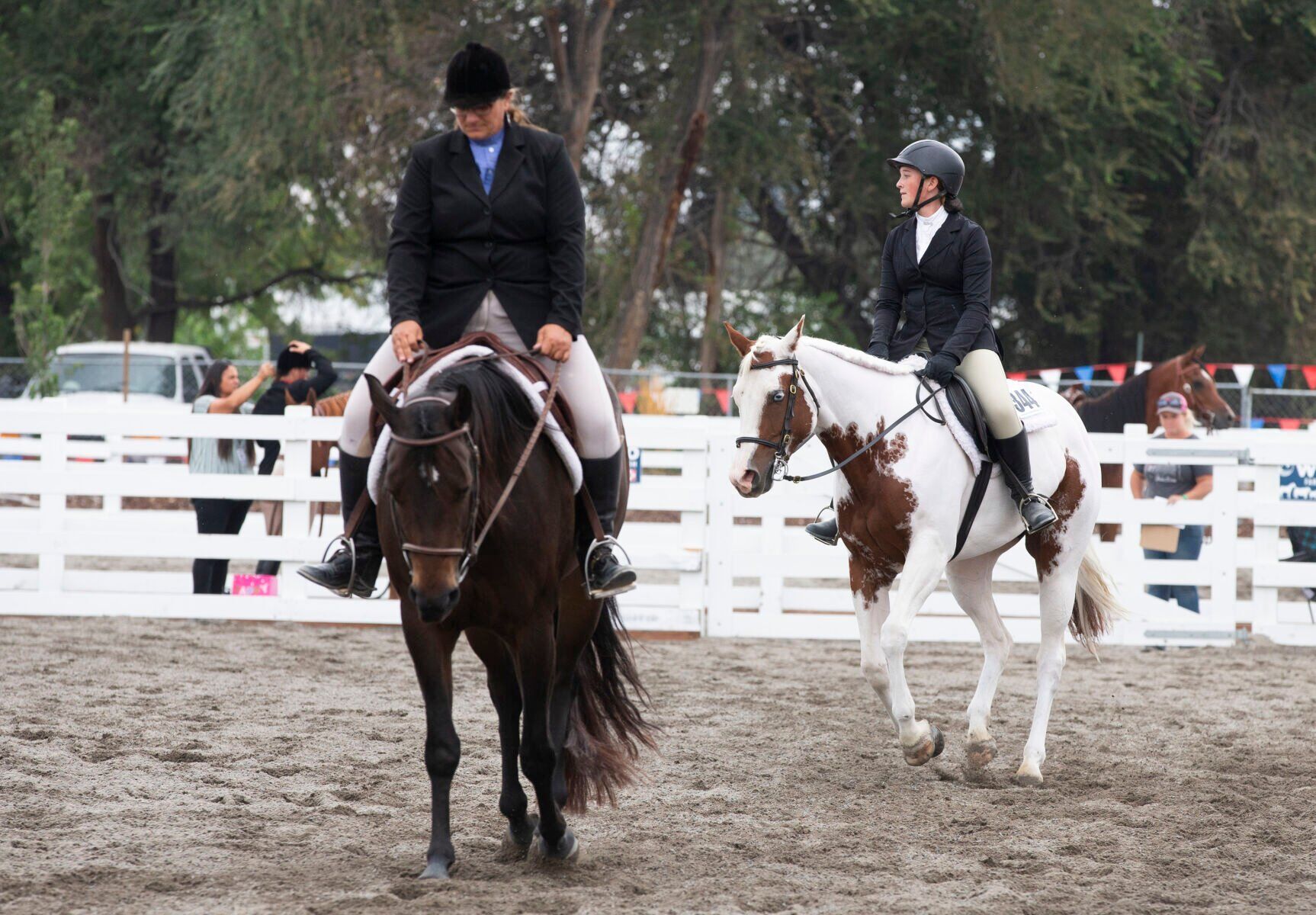 Feria Estatal del Centro de Washington
